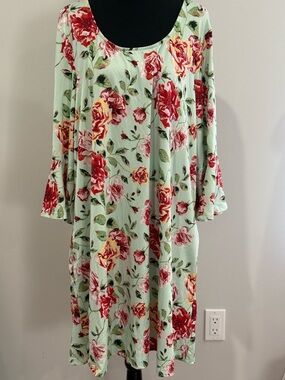 Pioneer Woman XXXL Floral Mint Swing Dress with Red Rose Print 071